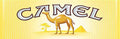 Camel Yellow